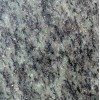 Verde Gloria Tiles