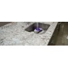 Imperial White Countertop