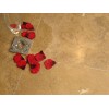 Noce Travertine Tiles