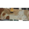 Pastal Onyx Slabs
