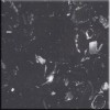 Vitina Black
