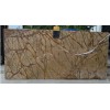 Rainforest Brown