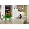 Kashmir White Countertop