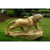 Gold Granite Tiger