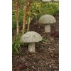 Granite Mushrooms