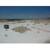 Natural Tamala Limestone
