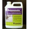 Rejuvenata