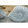 Shell Fountain