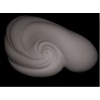 Biomorphic Shape