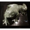 Tree Frog