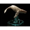 Majestic Humpback
