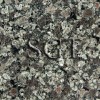 Apple Green Granite Tile