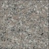 Almond Cream/G617 Granite Tile