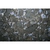 Blue Butterfly Granite Tile