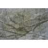 Verde Ayers Green Granite Tile