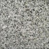 White Silver Granite Tile