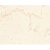 Trani Fiorito Marble Tile