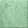 Diorite Lucida Granite Tile