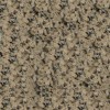 Raniwara Granite Tile