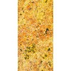 Golden Dragon Granite Tile