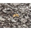 Spary White Granite Tile