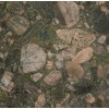 Green Marinace Granite Tile