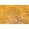 Sivas Yellow Travertine Tile