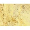 Tino Triana Marble Tile