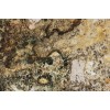 Baricatta Granite Tile