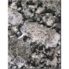 Oyster Pearl Granite Tile