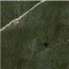 Pietra Grey Marble Tile