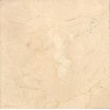 Cream antotalia 2 Marble Tile