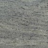 Verde Foresta Granite Tile