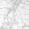 Blanc Venato Marble Tile