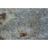 Caramelo Decorado Granite Tile