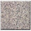 Granite,G355 Jingbai Jade