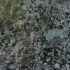 Graphite Grey Granite Tile