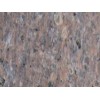 Golden Granite Stone