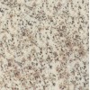 Caesar White Granite Tile