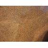 Giallo Alba Granite Tile