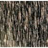 Xishi black granite