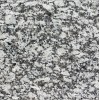 Gran Perla Granite Tile