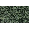 CHINA GREEN GRANITE