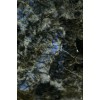 Lemorian Blue