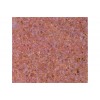 Richearth Red