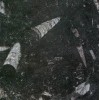 Nero Galassia Fossice Tile