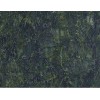 Butterfly Green Granite tiles