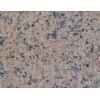 Pink Granite tiles