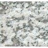 Chinese Gili White