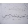 Bianco Crown